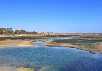 A Wondrous Walk in Ria Formosa