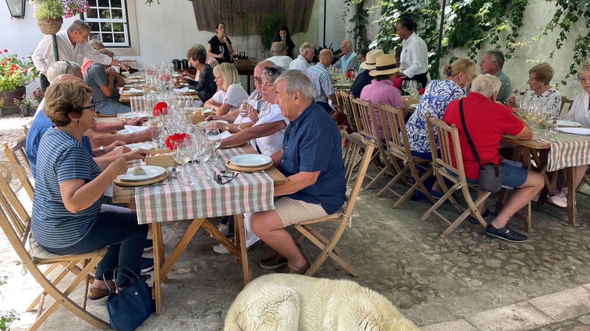 Relaxed lunch at Casal Branco