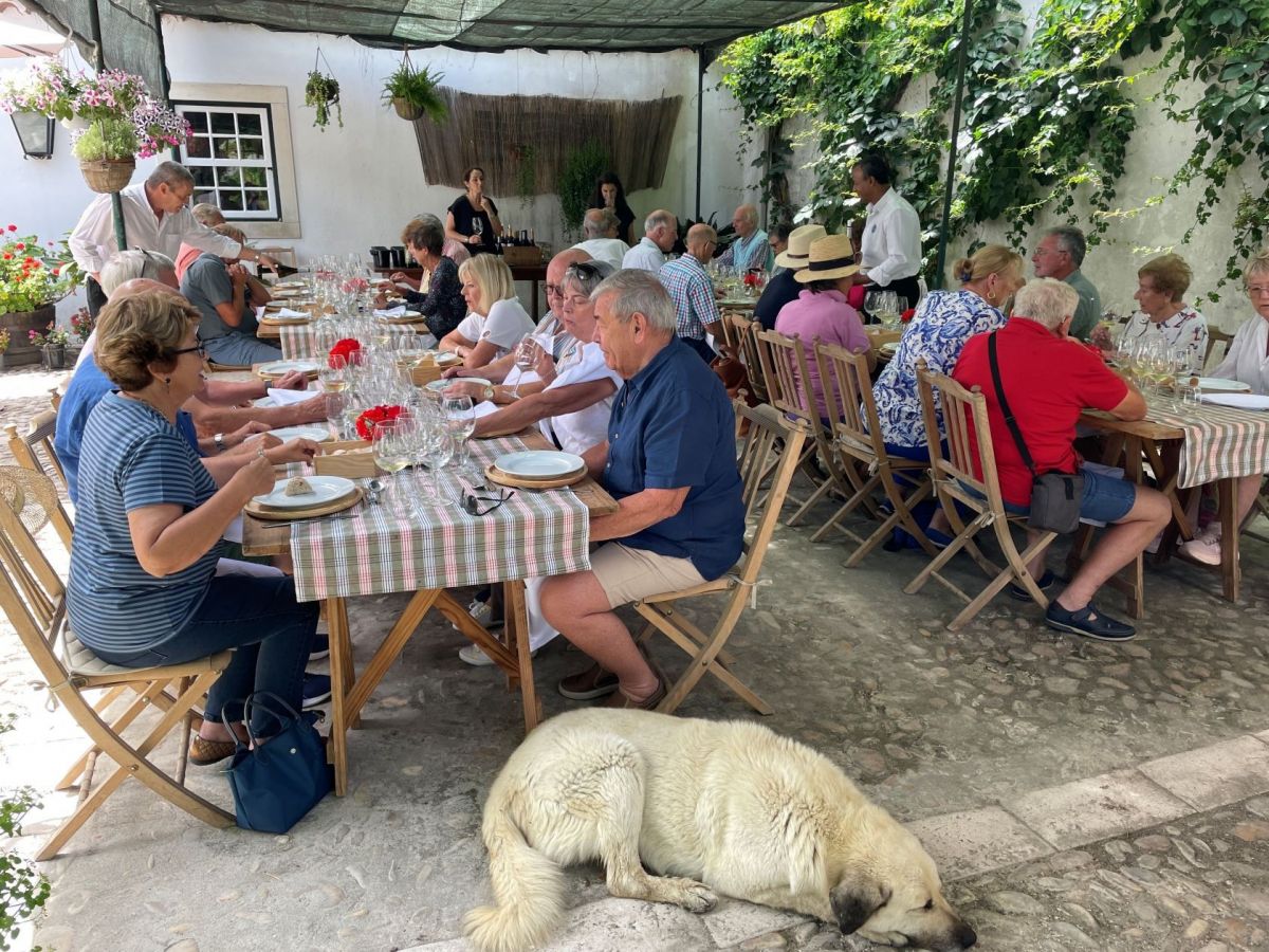 Relaxed lunch at Casal Branco