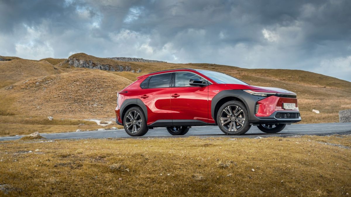 What Can I Use To Clean Wax Out Of My Dog's Ears at Jo Childs blog