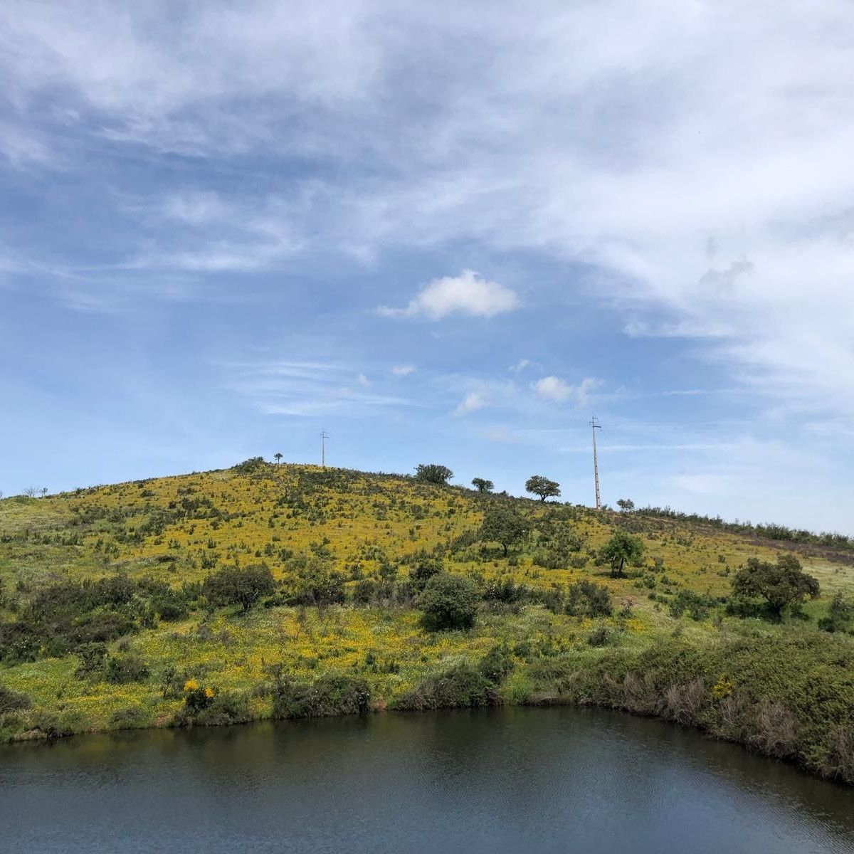 The Pangea Trust Launches Nature Recovery Fund - The Portugal News