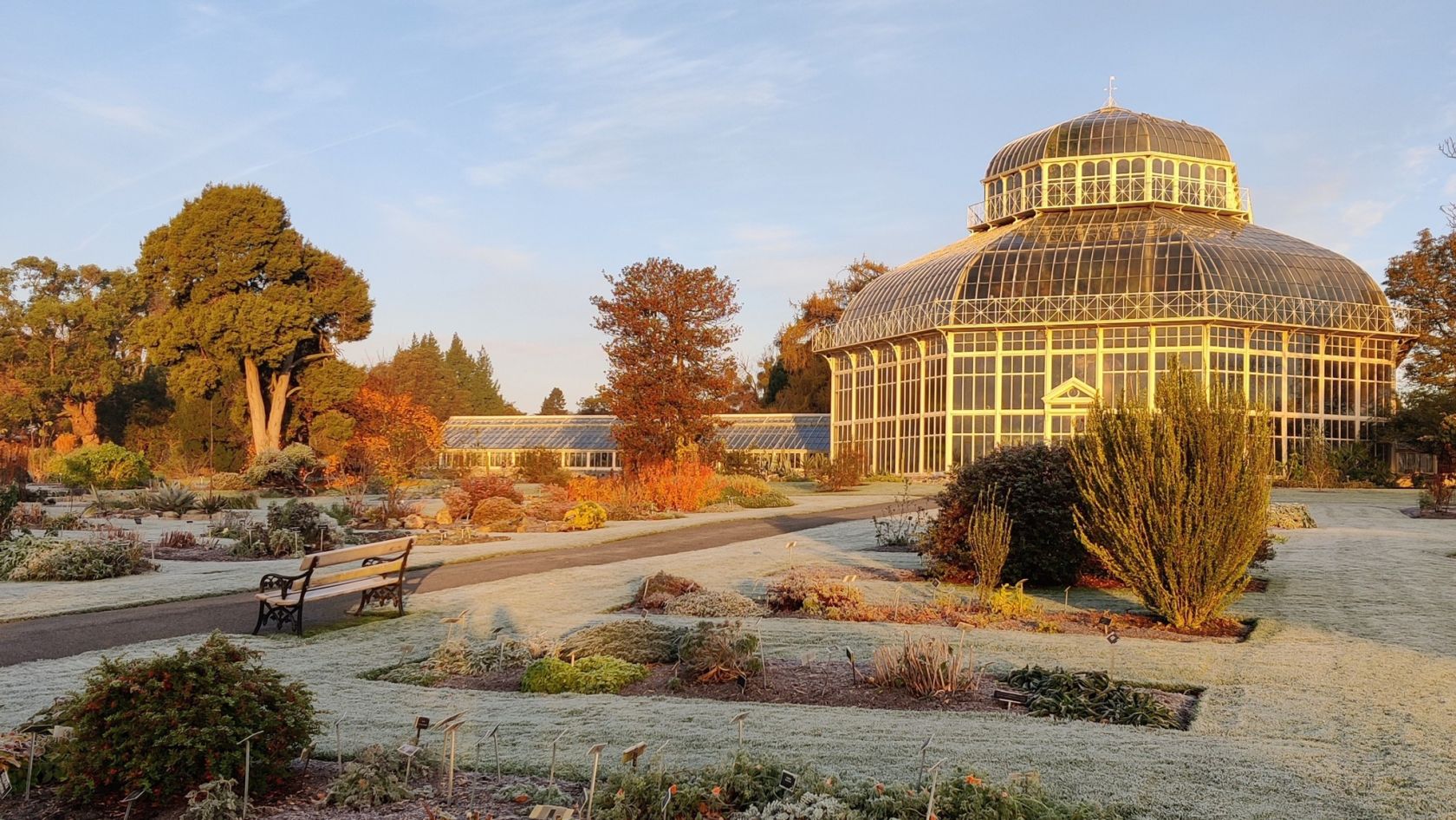 The National Botanic Gardens Presents its Display of Illuminated Artworks - Vimarsana News
