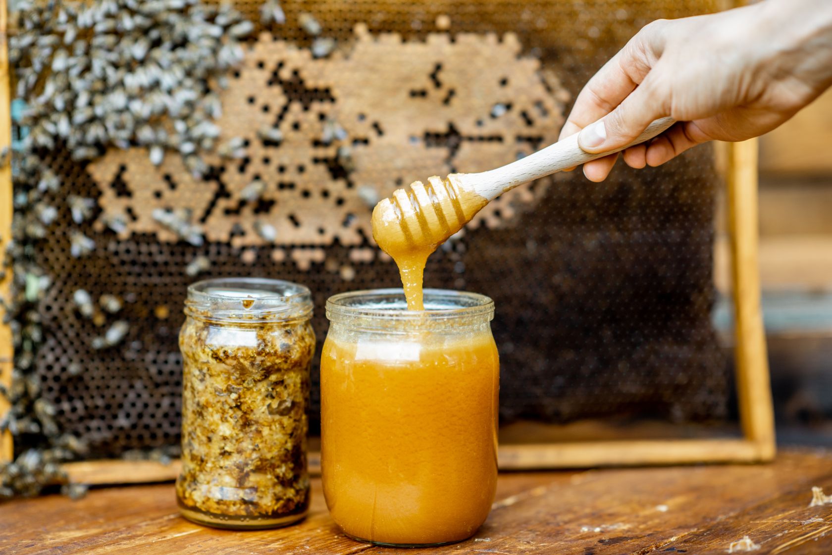Algarve honey producer shut down