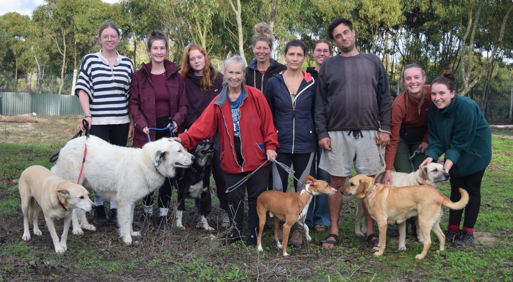 "Community collapse - collateral damage"