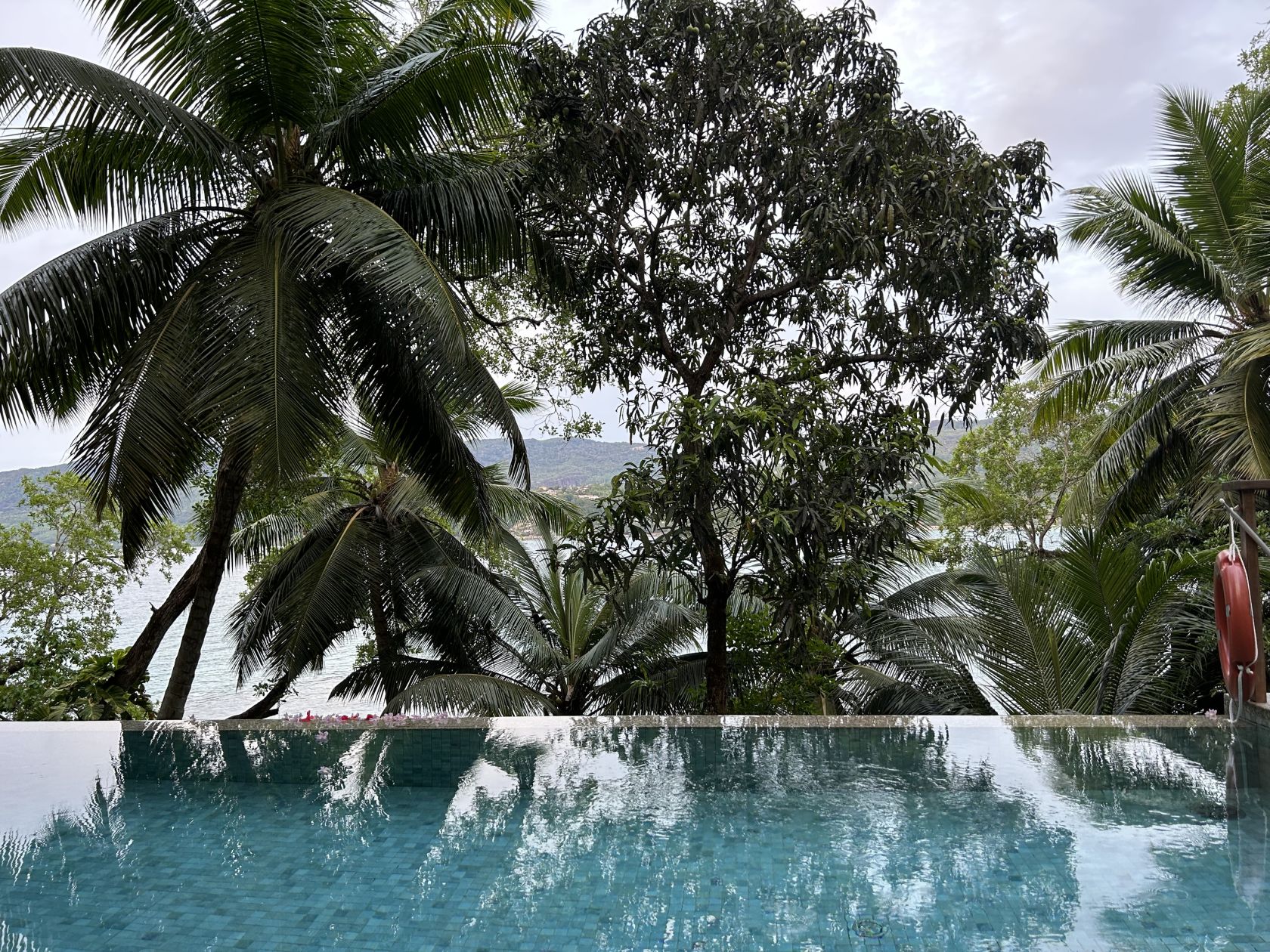 Exploring the abundant wildlife of the Seychelles