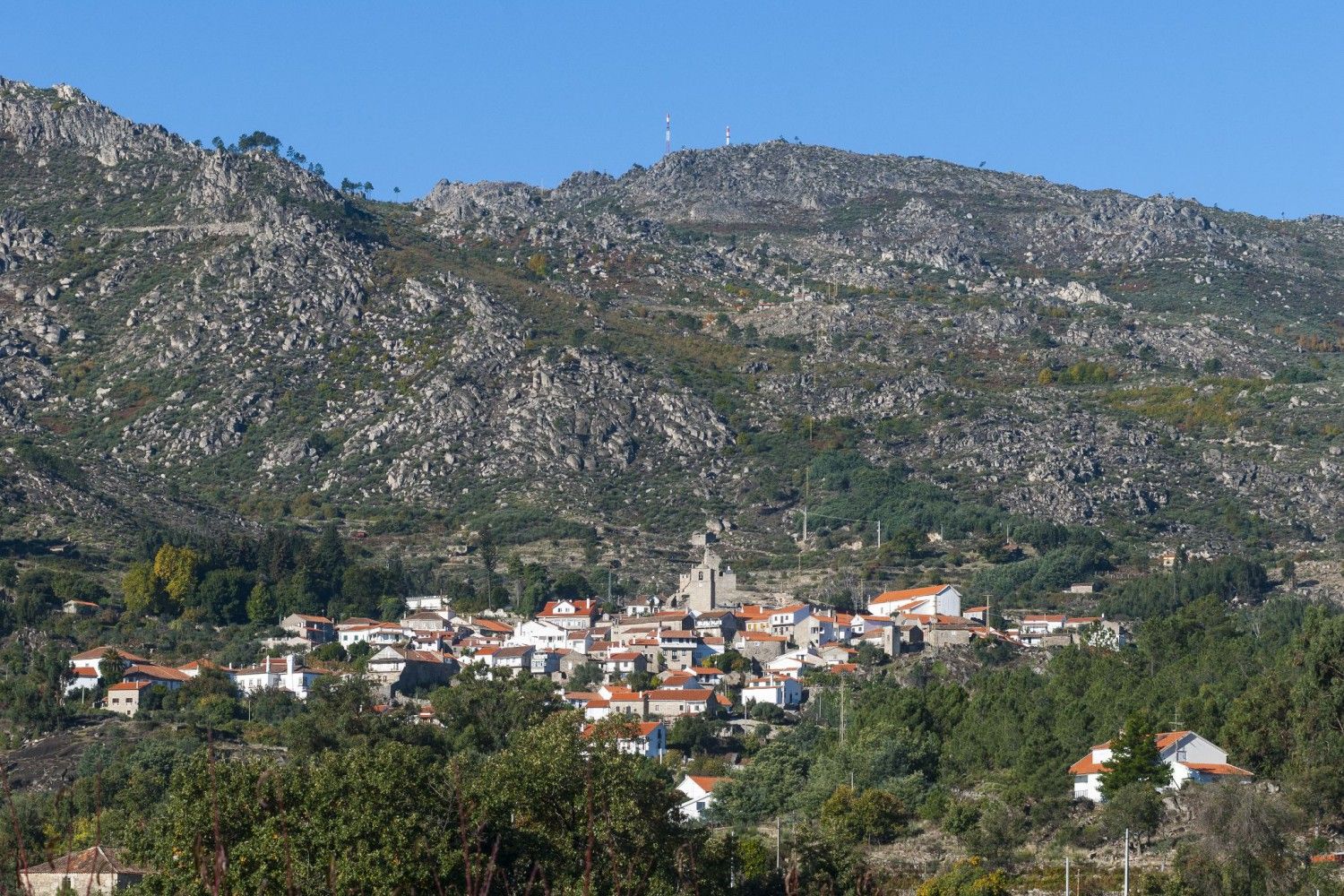 New Portugal Special Area of Conservation