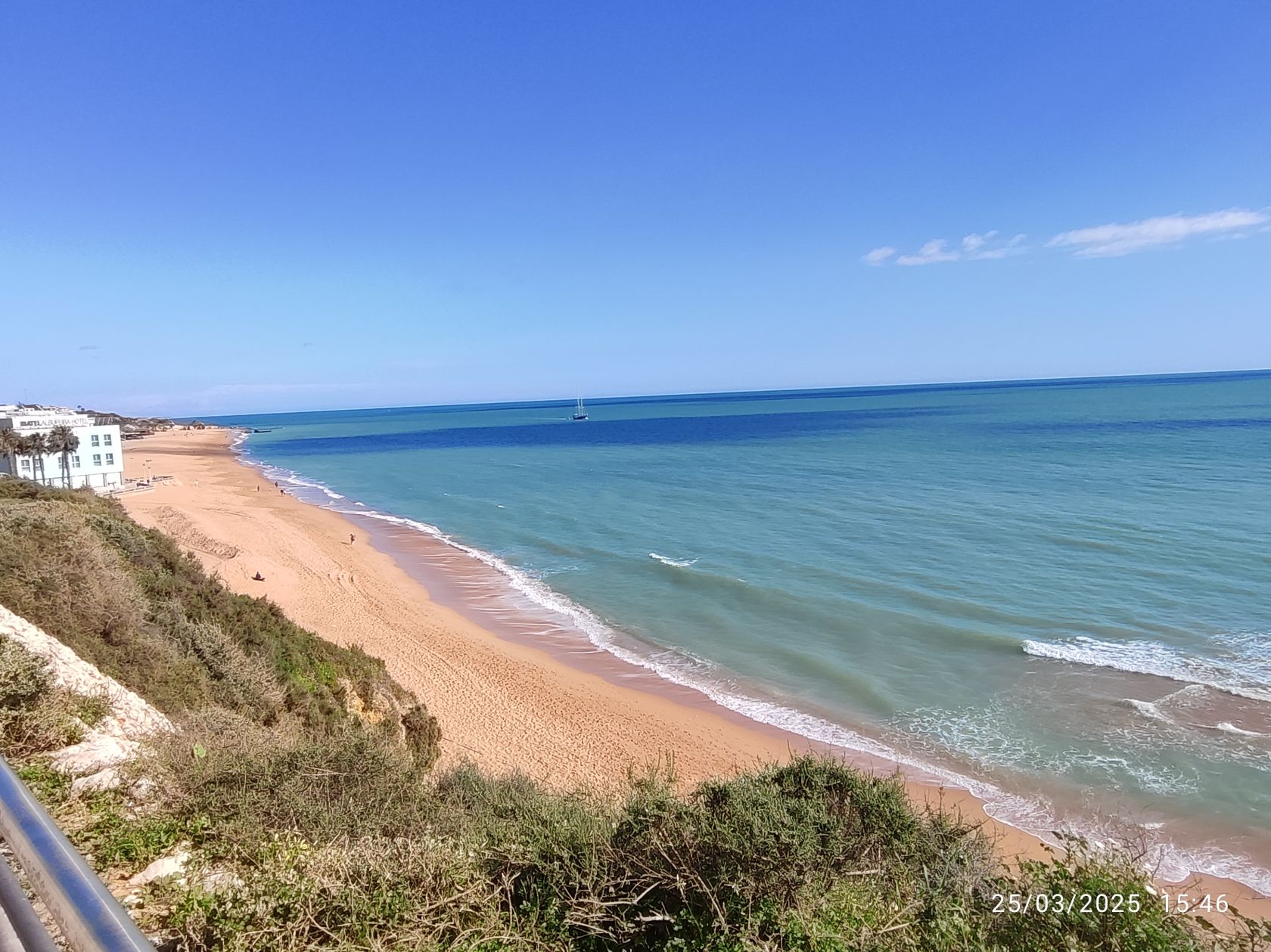 SeaForester and the blue economy that Portugal is helping to rebuild