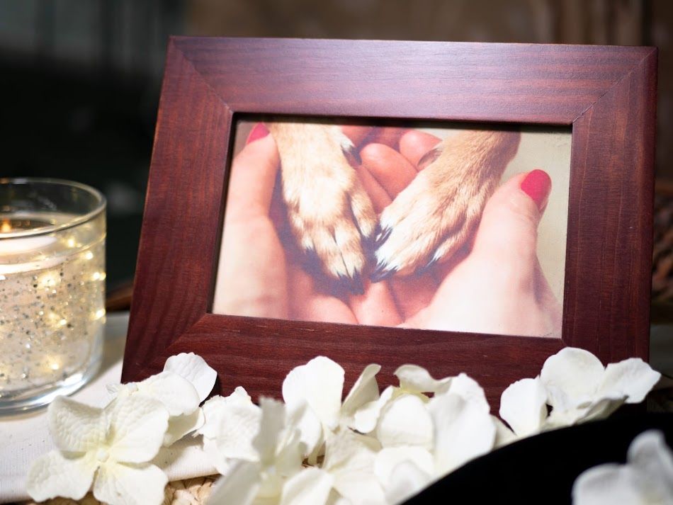 LealPets: A respectful farewell for beloved pets