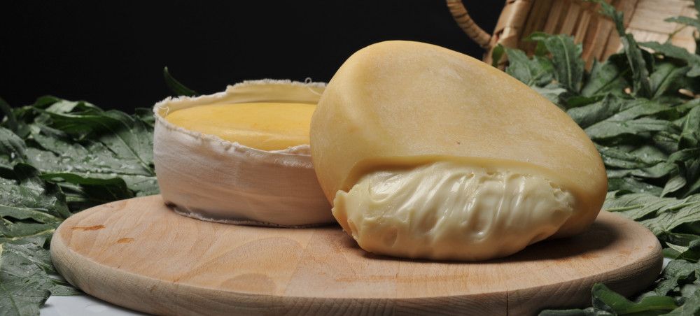 Get to know Serra da Estrela Cheese in Portugal