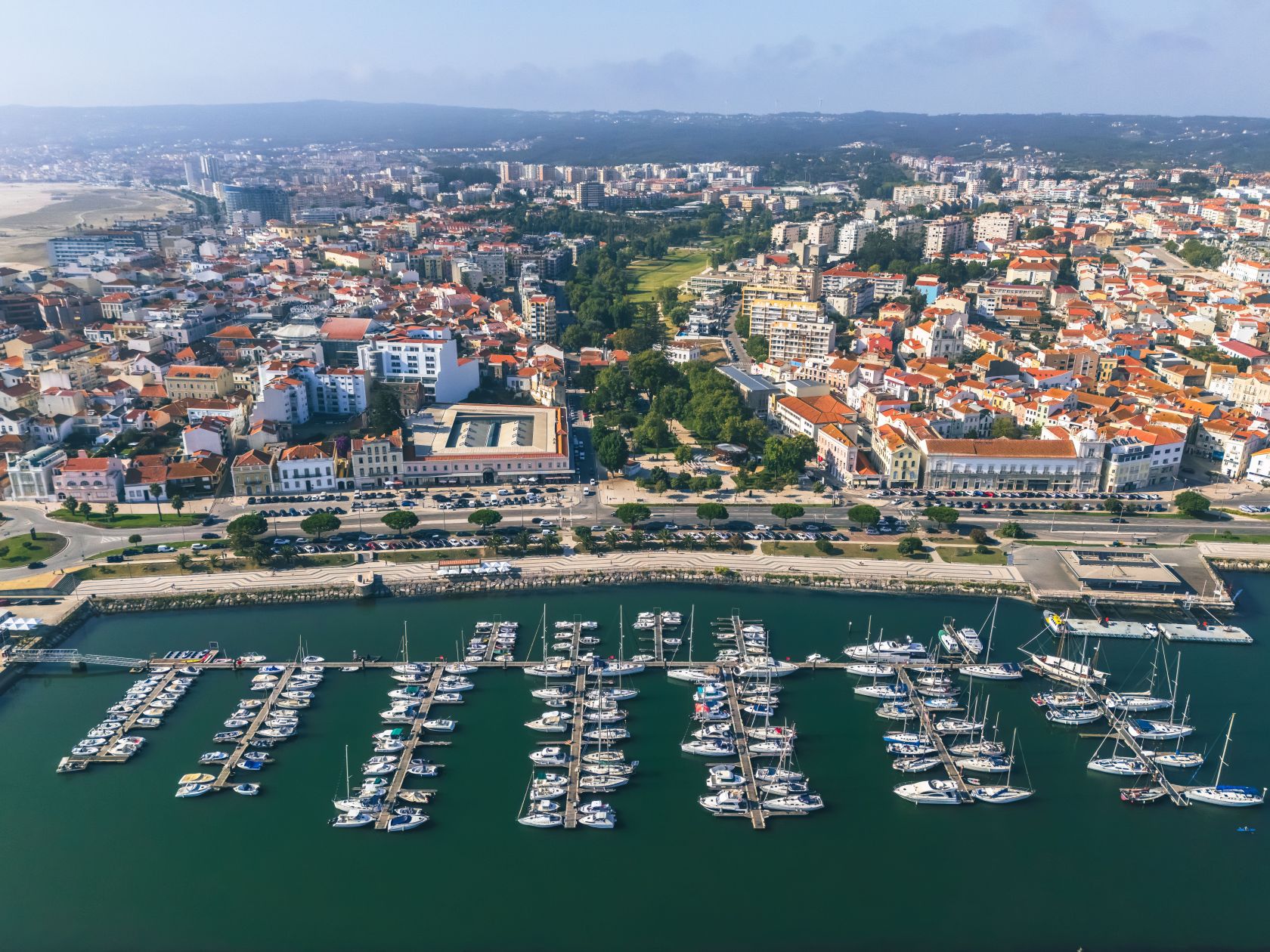 Portugal wins international film award