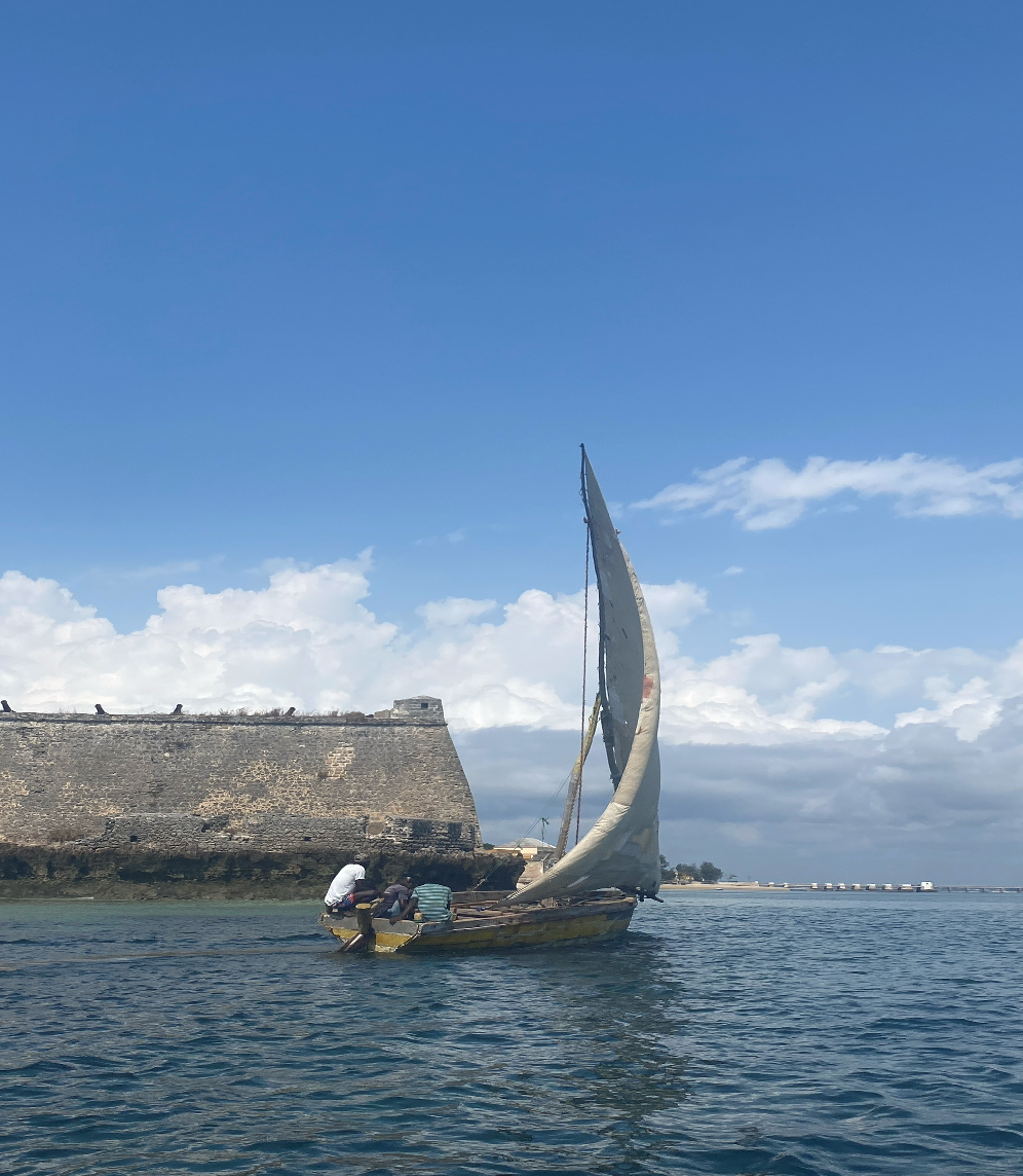 Algarve History Association in February