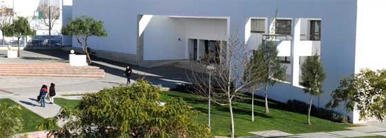 Portugal University institution to have new president