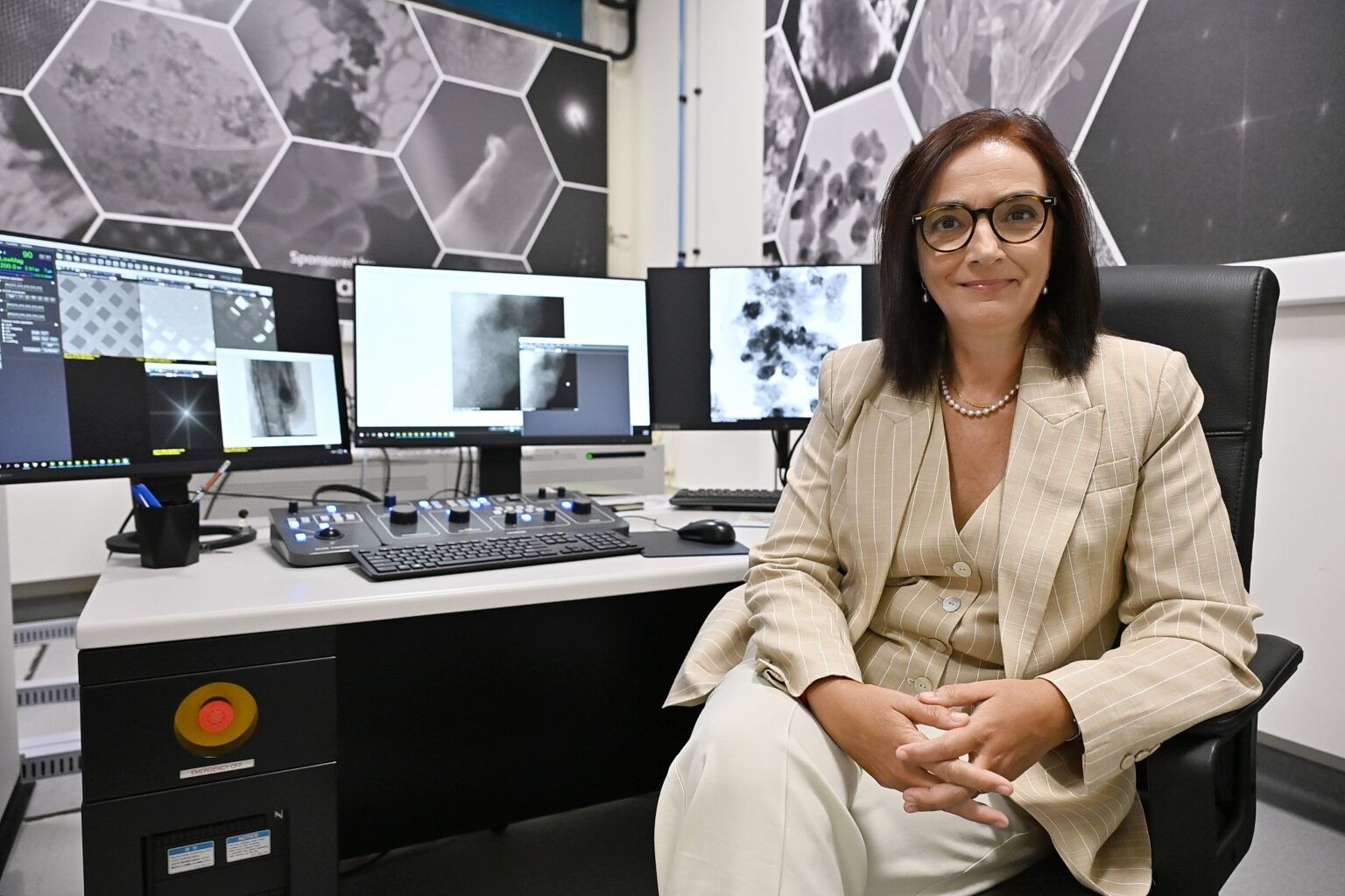 Faces of Portuguese Research: Elvira Fortunato