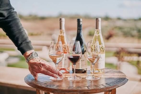 Art & Wine Festival at Quinta dos Vales