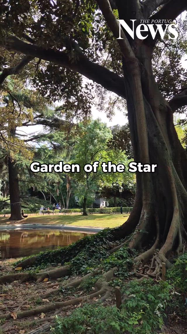 The Green Heart of Estrela, in Lisbon