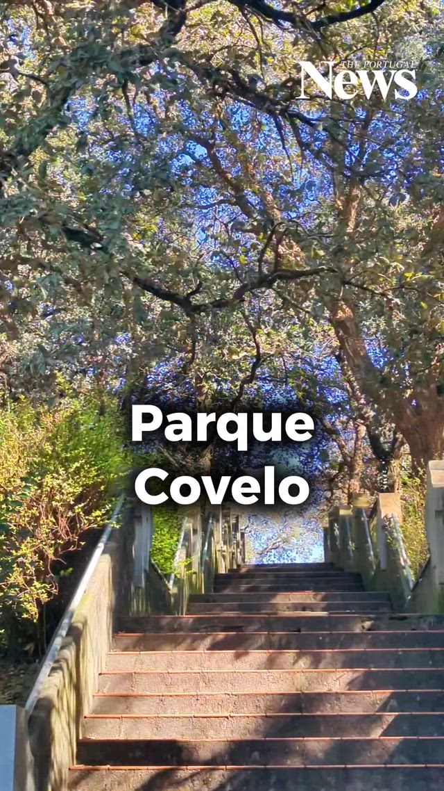 ¿Has visitado la Quinta do Covelo en Oporto?