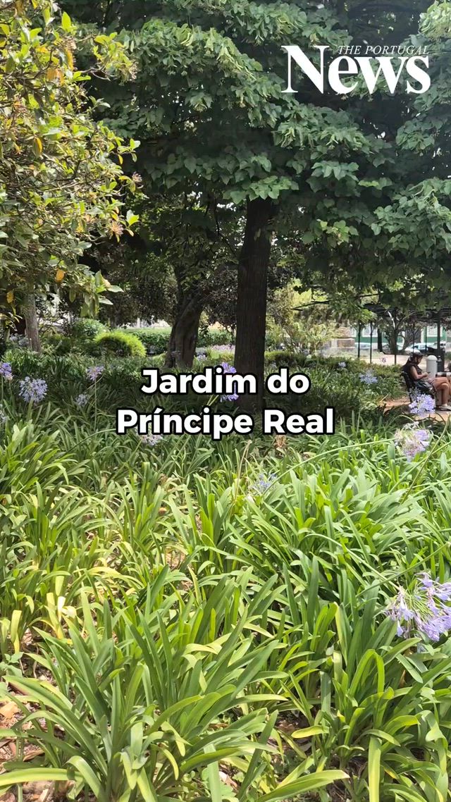 The Rest within Príncipe Real in Lisbon