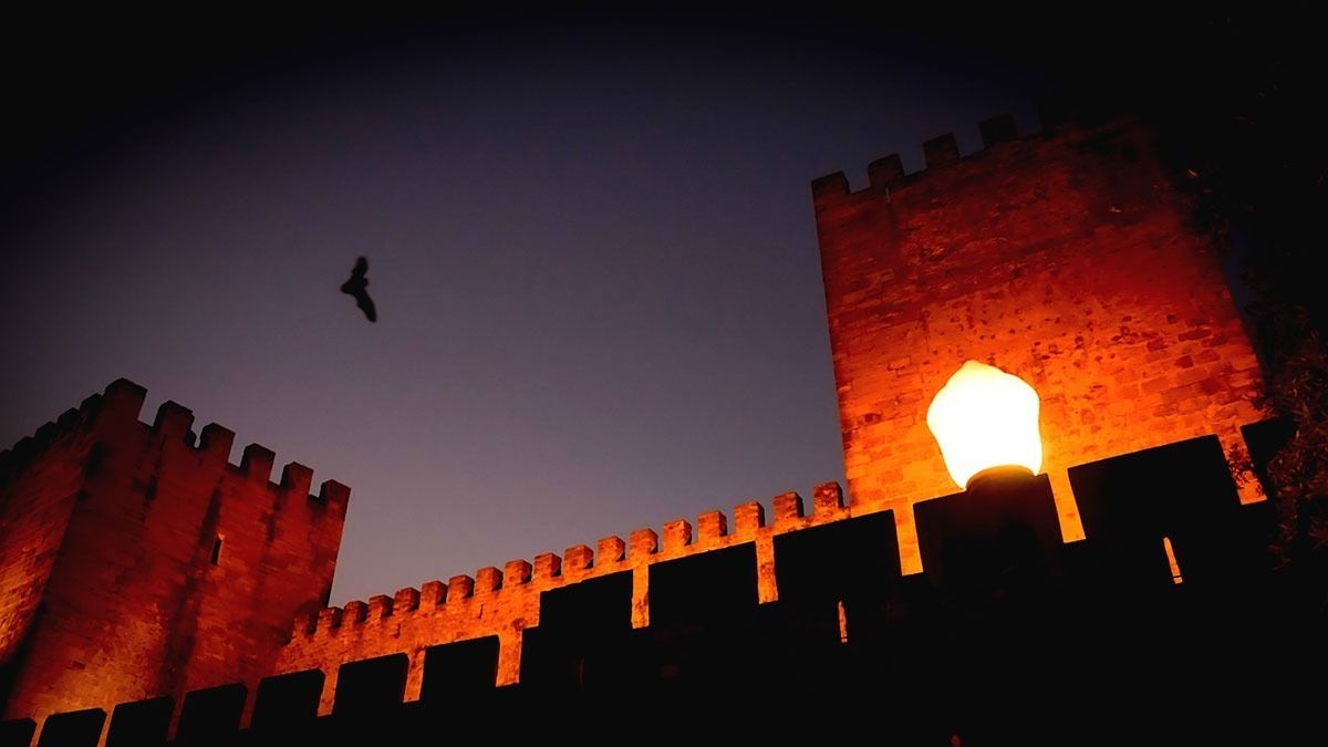 Het kasteel van Lissabon organiseert nachtelijke rondleidingen om de verborgen vleermuispopulatie te ontdekken
