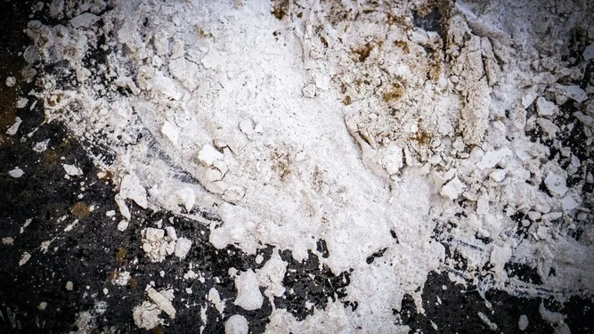 Setúbal’da 400 kilogram kokain ele geçirildi, bir şüpheli gözaltında