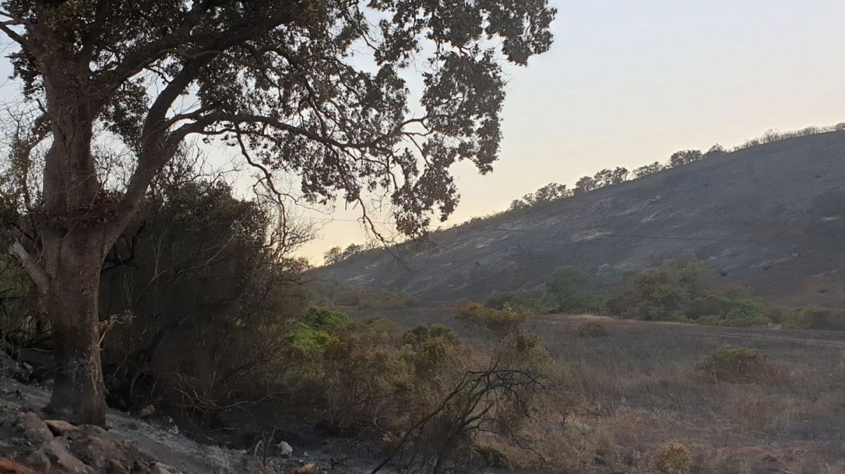 Fire in Monchique highlights risks