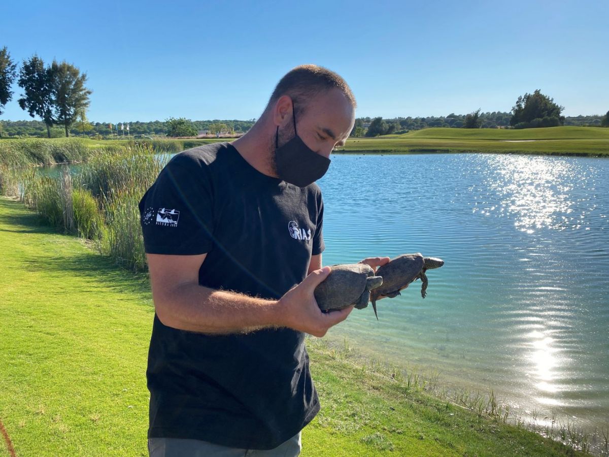 Celebrate life in Quinta do Lago’s treasured natural environment