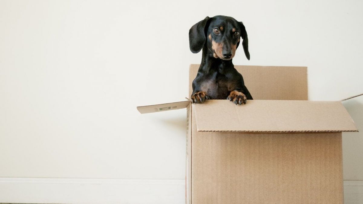 Public list of lien or levy: Keep your name clean!