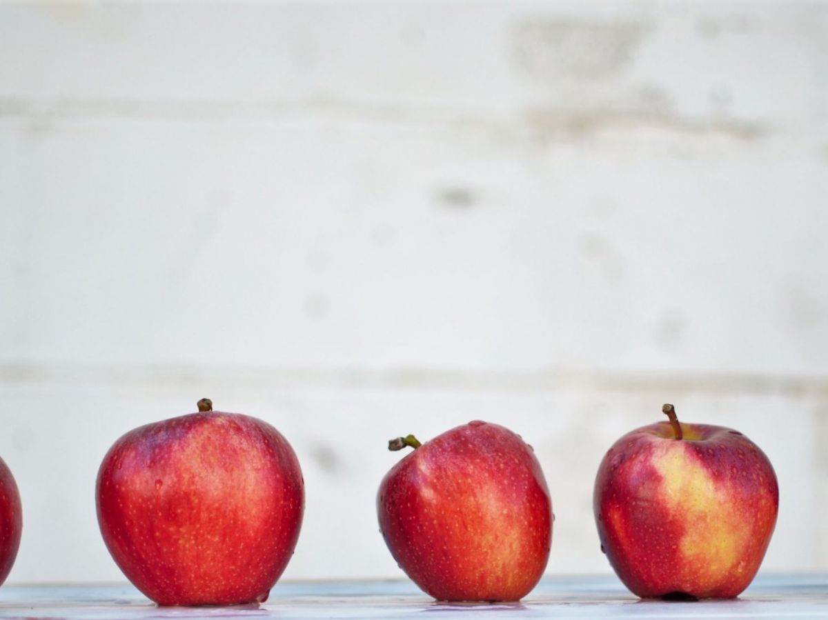 Farewell to burgers, pizza, cake, biscuits and more